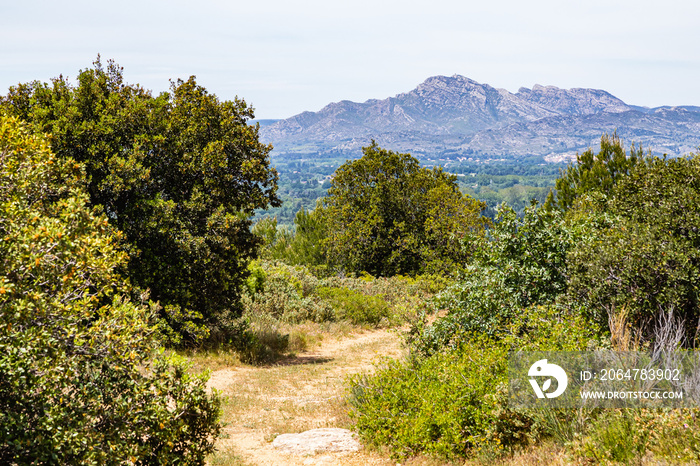 countryside landscape south of the Alpilles, in Provence