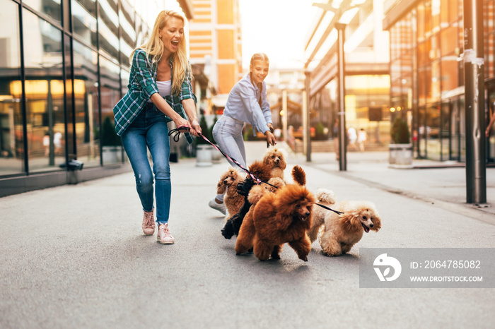 母女俩在城市街道上和他们的贵宾犬一起散步。