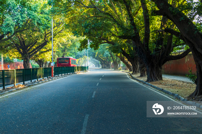 Roads of Chandigarh in the Morning