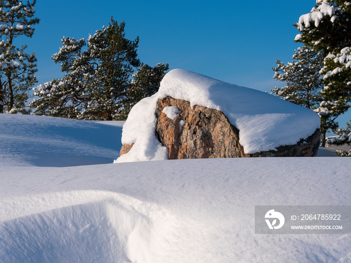 美丽的雪景和宁静的冬季景象，有未被破坏的雪堤和松树。la的特写