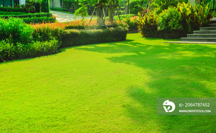绿色草坪，前草坪为背景，园林景观设计。