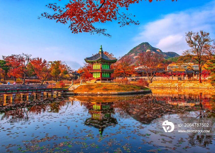 韩国首尔庆北宫的秋天