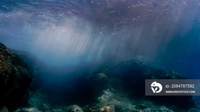 Underwater landscape and scenery in sunlight