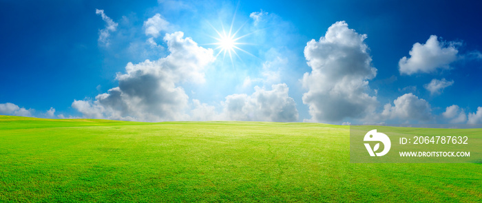 Green grass field and blue sky with white clouds,panoramic view.