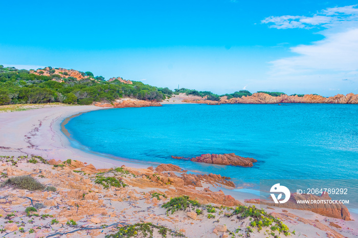 Amazing pink sand beach in Budelli Island, Maddalena Archipelago, Sardinia