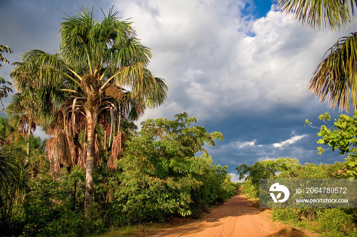 Brazilian rural road at Jalapão desert at Tocantins State