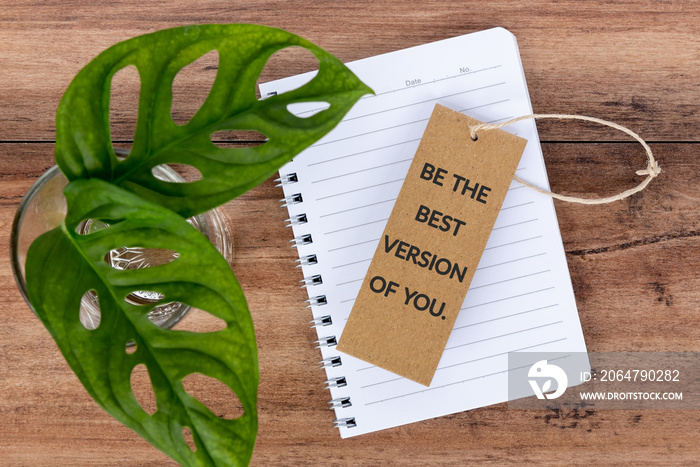 Inspiration quotes -Be the best version of you.