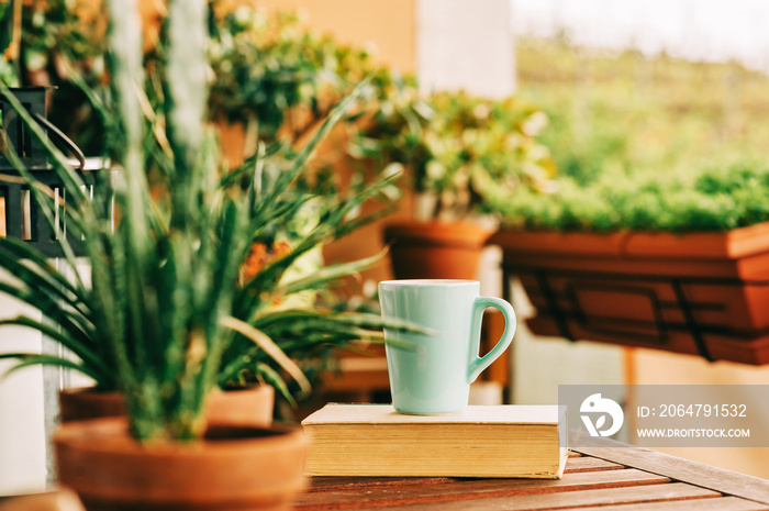 Cozy summer balcony with many potted plants, cup of tea and old vintage book