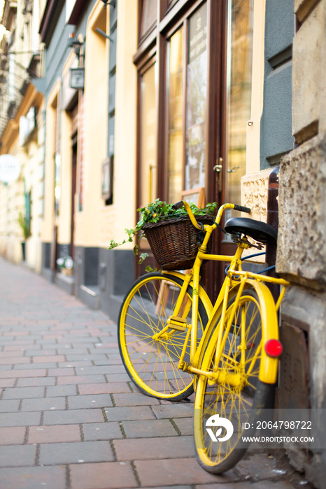 Cityscape of the old cozy European city. A flower pot from an old bicycle