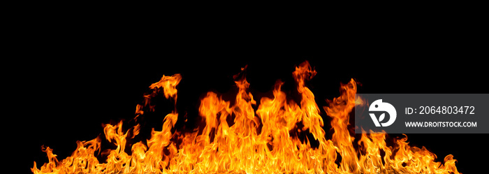 Fire flames on black background