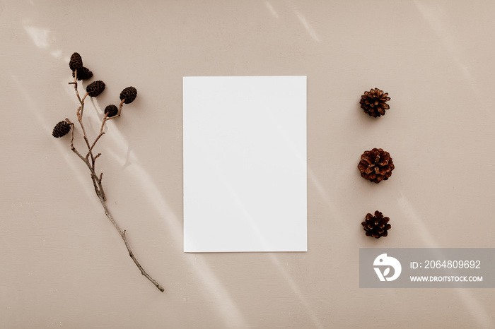 Blank white page on brown background. Modern stationery still life with pine cones. Long shadows and