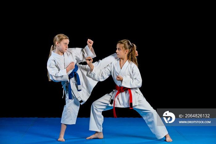 Karate martial Arts Two little girls demonstrate martial arts working together.