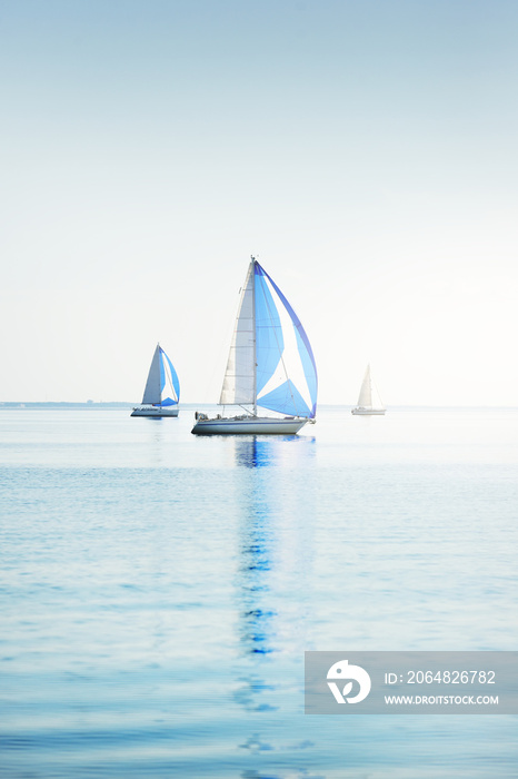 帆船帆船赛。现代帆船与蓝色的spinnaker帆比赛。晴朗的夏日。基尔，Ge