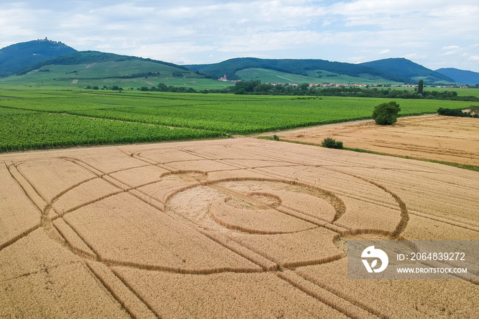 crop circles field Alsace France