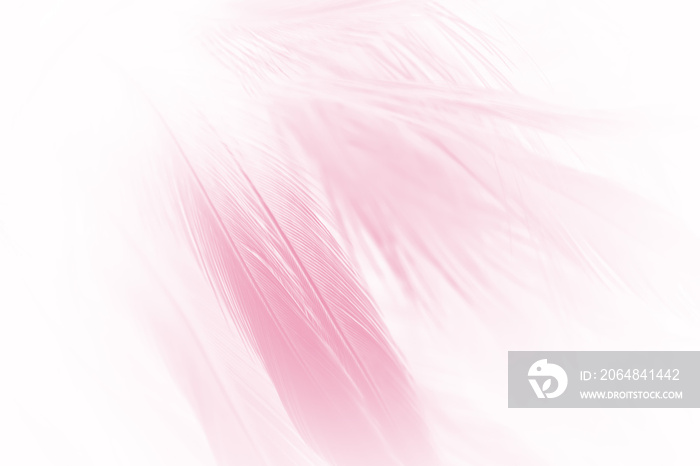 柔和的粉红色复古色彩潮流鸡毛质感背景