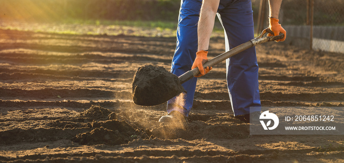 The gardener digs the garden with a shovel