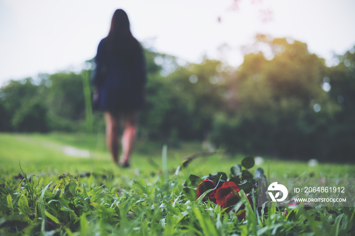 一个女人转身离开了绿草地上的红色玫瑰，与大自然相伴