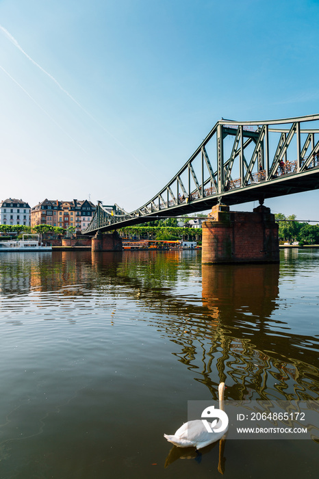 德国法兰克福Eiserner Steg大桥和美因河