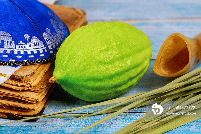 Jewish ritual festival of Sukkot in the jewish religious symbol Etrog, lulav, hadas, arava tallit pr