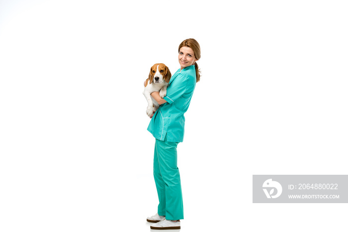 smiling veterinarian in uniform with beagle dog in hands isolated on white