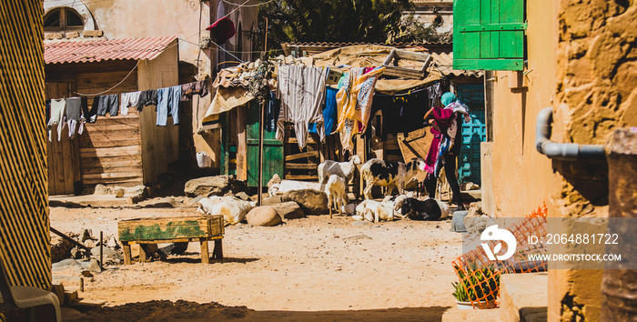 An unknown person putting up the clothes to dry in a poor african village with goats surrounding the