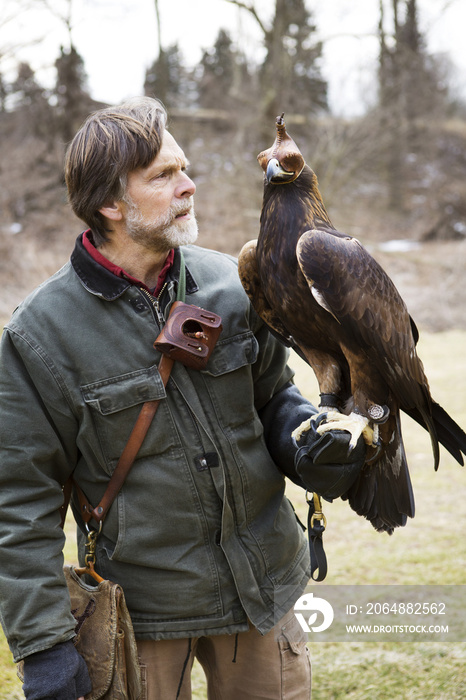 Falconer holding kestrel on hand