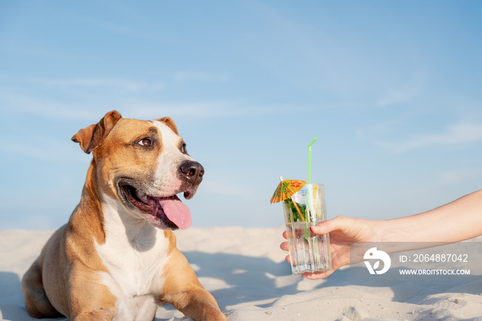 Treating to a glass of cold cocktail drink on the beach. Summer vacation, time by the seaside concep