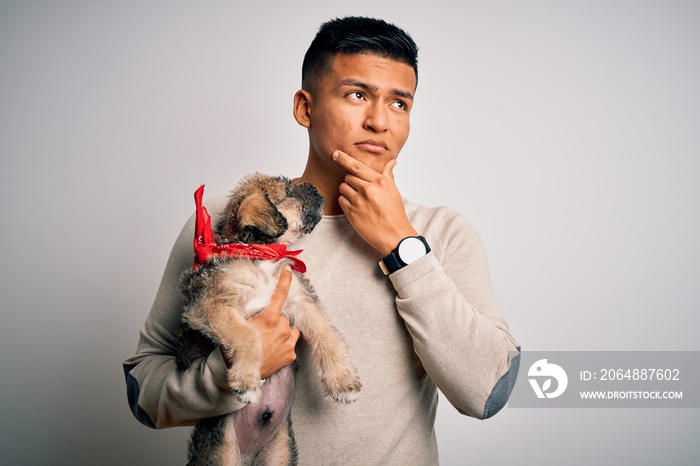 Young handsome latin man holding cute puppy pet over isolated white background serious face thinking