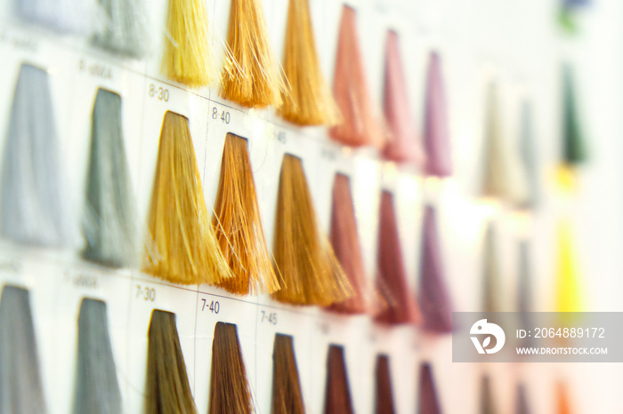 Many colorful of hair color swatches and sample close up and blur background