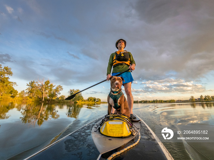 stand up paddling with a pitbull dog