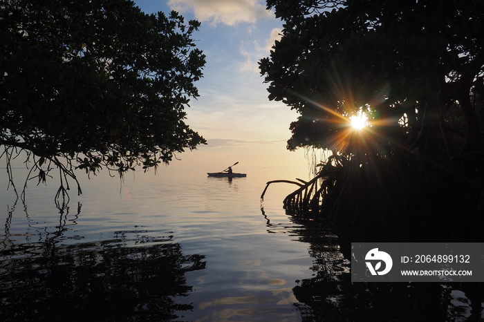 Mangrove trees silhouetted against the dawn sky in Bear Cut off Key Biscayne, Florida, framing a lon