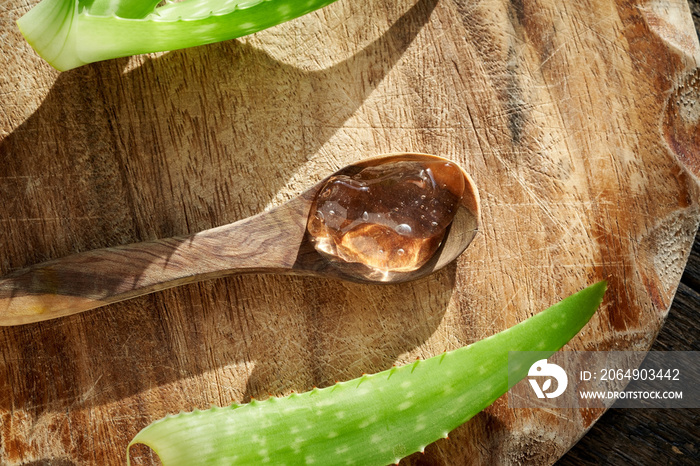 Aloe vera gel with fresh aloe vera leaves, top view