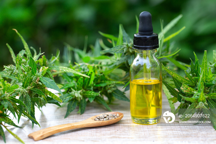 CBD oil hemp products, Medicinal cannabis with extract oil in a bottle on a wooden table. Medical ca