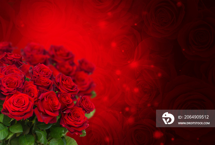 深红色背景上的猩红玫瑰，闪闪发光