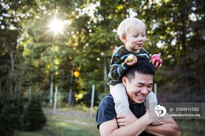 Smiling father carrying his son on shoulders in orchard