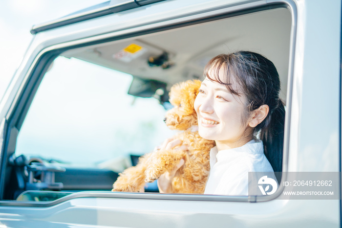 車でお出かけする犬と女性（車内）