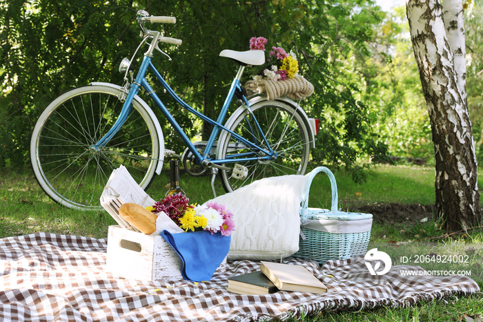 老式自行车和野餐小吃