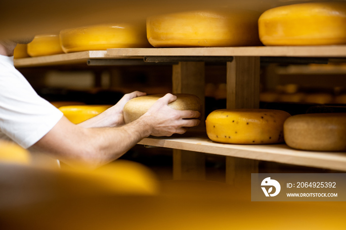 奶酪老化过程中，工人在仓库拿奶酪轮。无fac的特写