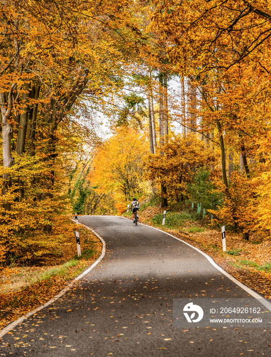 在德国莱茵兰，骑自行车的人在蜿蜒的道路上，落叶松散，穿过秋树。
