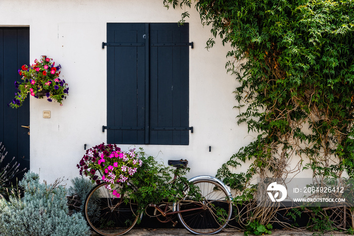 Facade of traditional house in the Island of Re decorated with colorful flowers with bicycle parked 