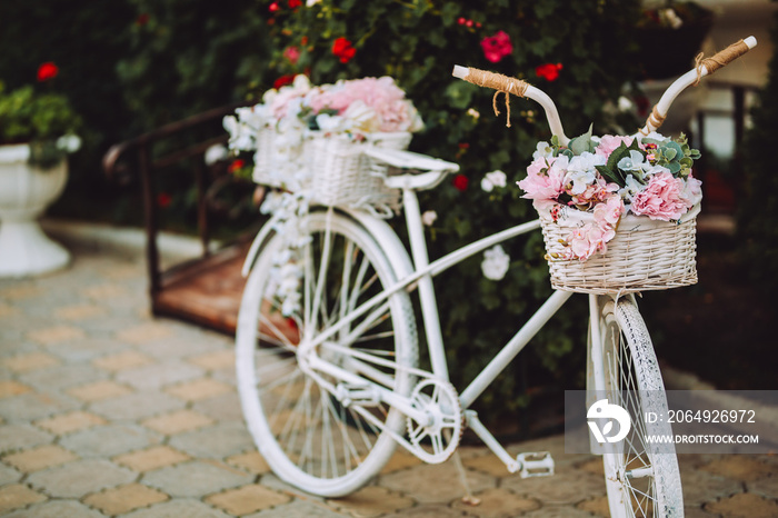 Retro white bicycle with beautiful flower basket isolated on green plants background.