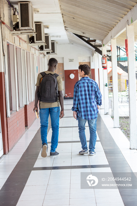 Back view of high school male multi ethnic students walking down the hallway.