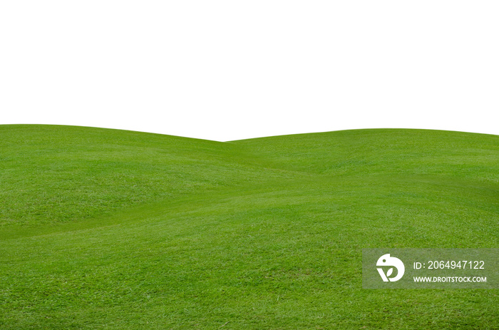 绿色草地隔离在白色背景上，带有修剪路径。