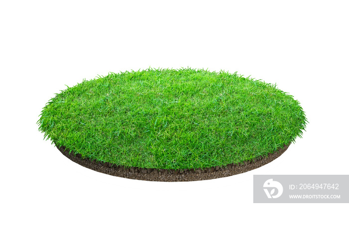 Abstract green grass texture for background. Circle green grass pattern isolated on a white backgrou