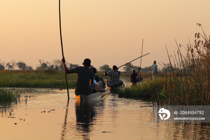 With mokoro in the Okavango Delta in Botswana on holiday. Travelling in summer during dry season.