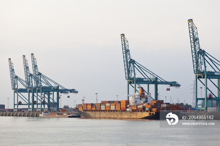 Docked Container Ship In Harbor