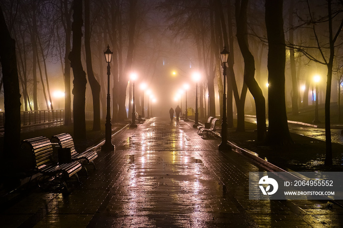 雾天里老公园小巷的夜景。