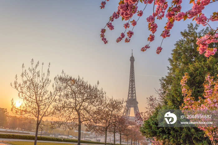 法国巴黎的埃菲尔铁塔与春天的树木