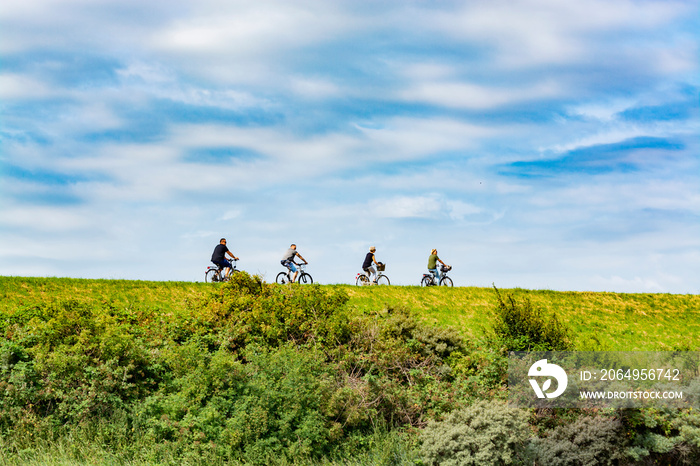 荷兰晴天四个人骑自行车