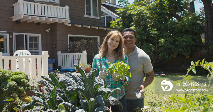 Portrait of couple gardening in backyard smiling at camera and holding a plant
